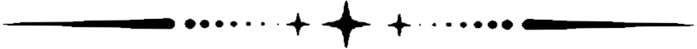 Section Divider Img
